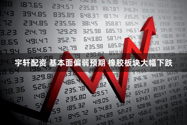 宇轩配资 基本面偏弱预期 橡胶板块大幅下跌