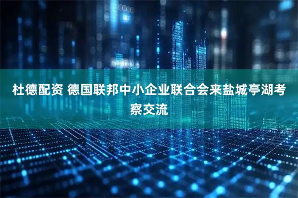 杜德配资 德国联邦中小企业联合会来盐城亭湖考察交流