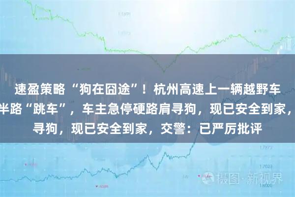 速盈策略 “狗在囧途”！杭州高速上一辆越野车外挂狗笼内的柯基半路“跳车”，车主急停硬路肩寻狗，现已安全到家，交警：已严厉批评